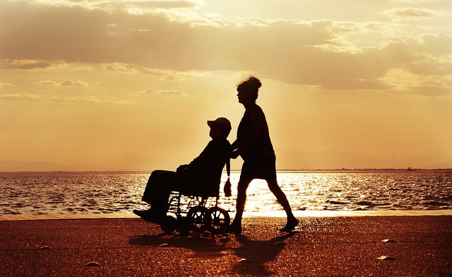 adamtepl wheelchair 3948122 640