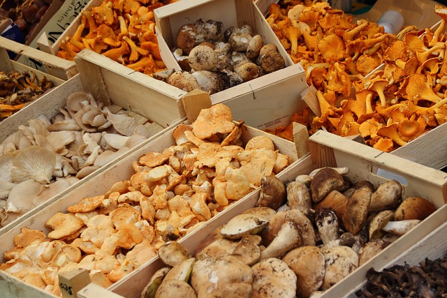 meineresterampe mushrooms 523629 640